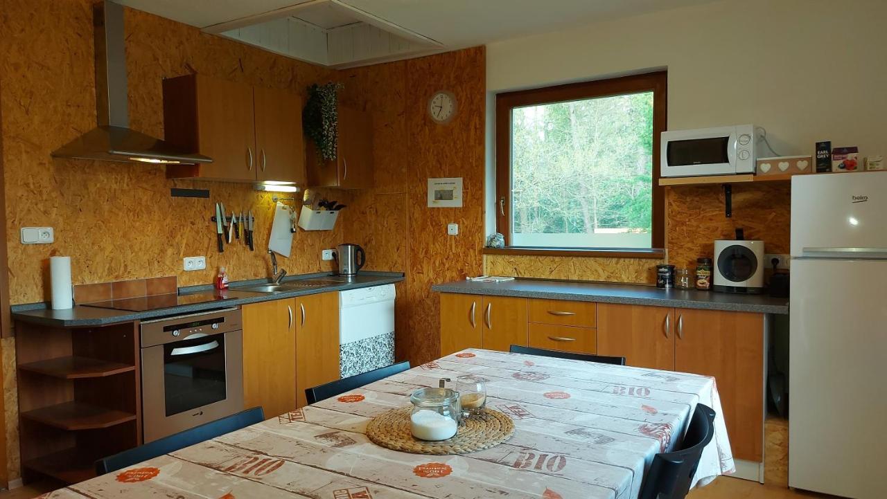 Apartmany Pod Lesem Rodvínov Extérieur photo
